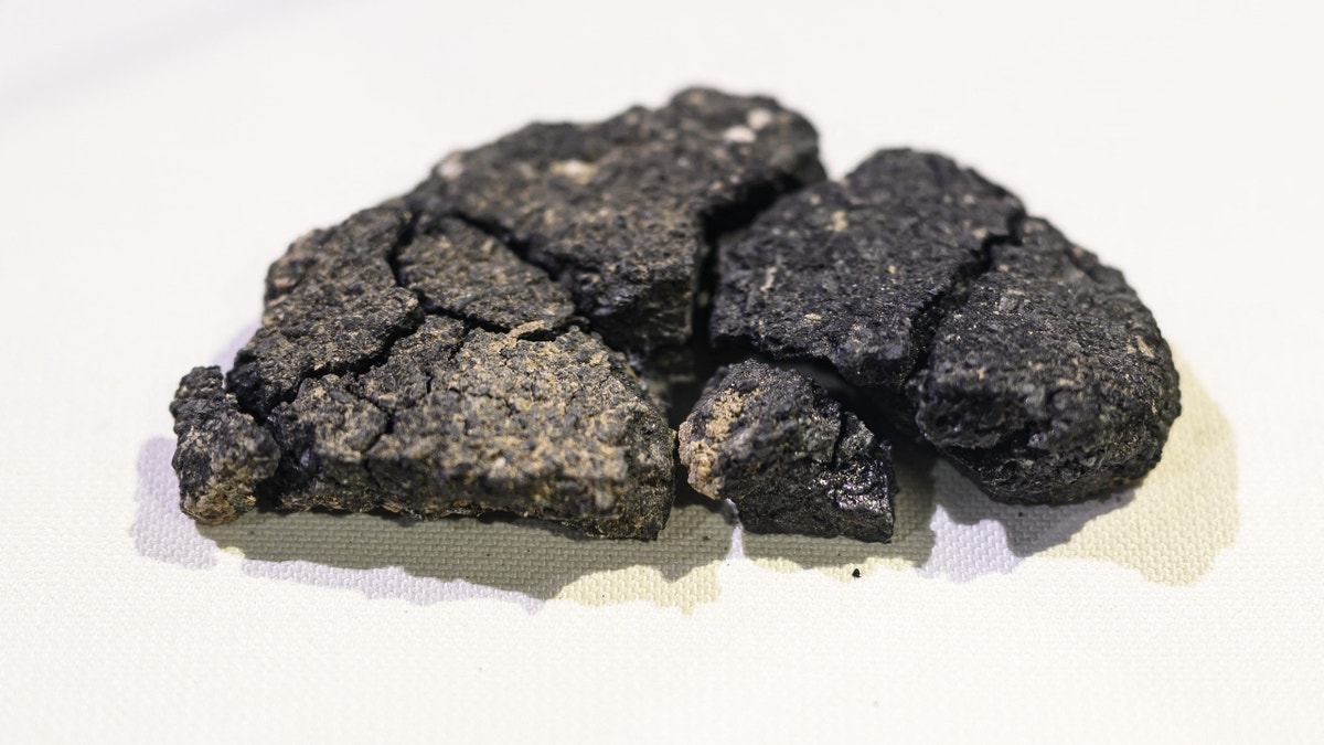 Archaeologists unearth ancient bread that survived underground for 5,000 years  at george magazine
