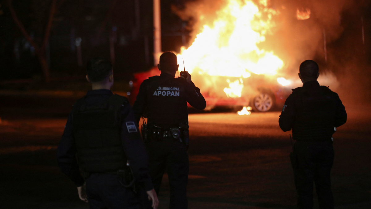 Cartel violence