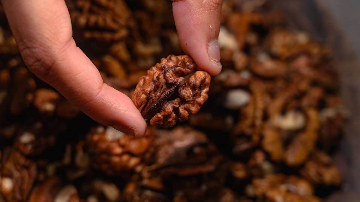 A person who carries nuts on hand, and a lot of nuts in the background.