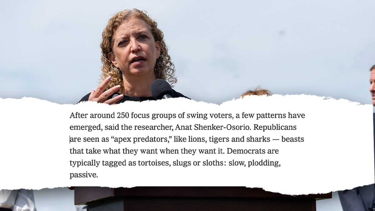 Wasserman Schultz rejects NYT report