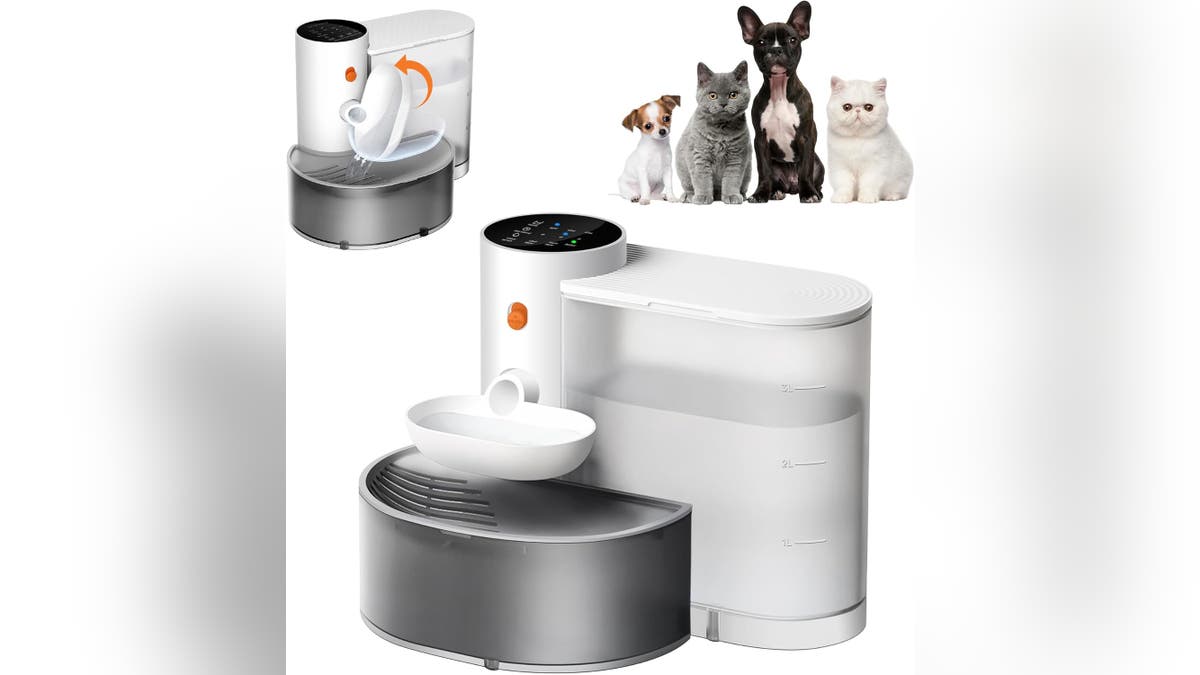 Make sure your pet always has fresh drinking water.?
