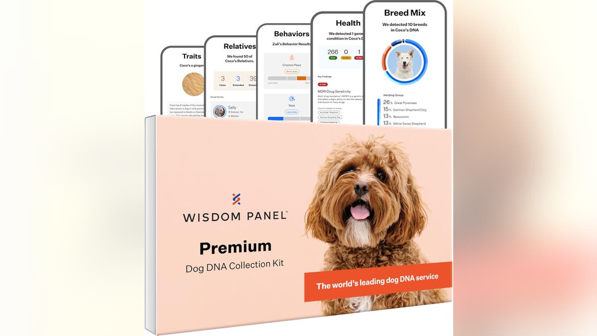 The DNA Kit is a comprehensive DNA test that analyzes your dog's genetic makeup.?