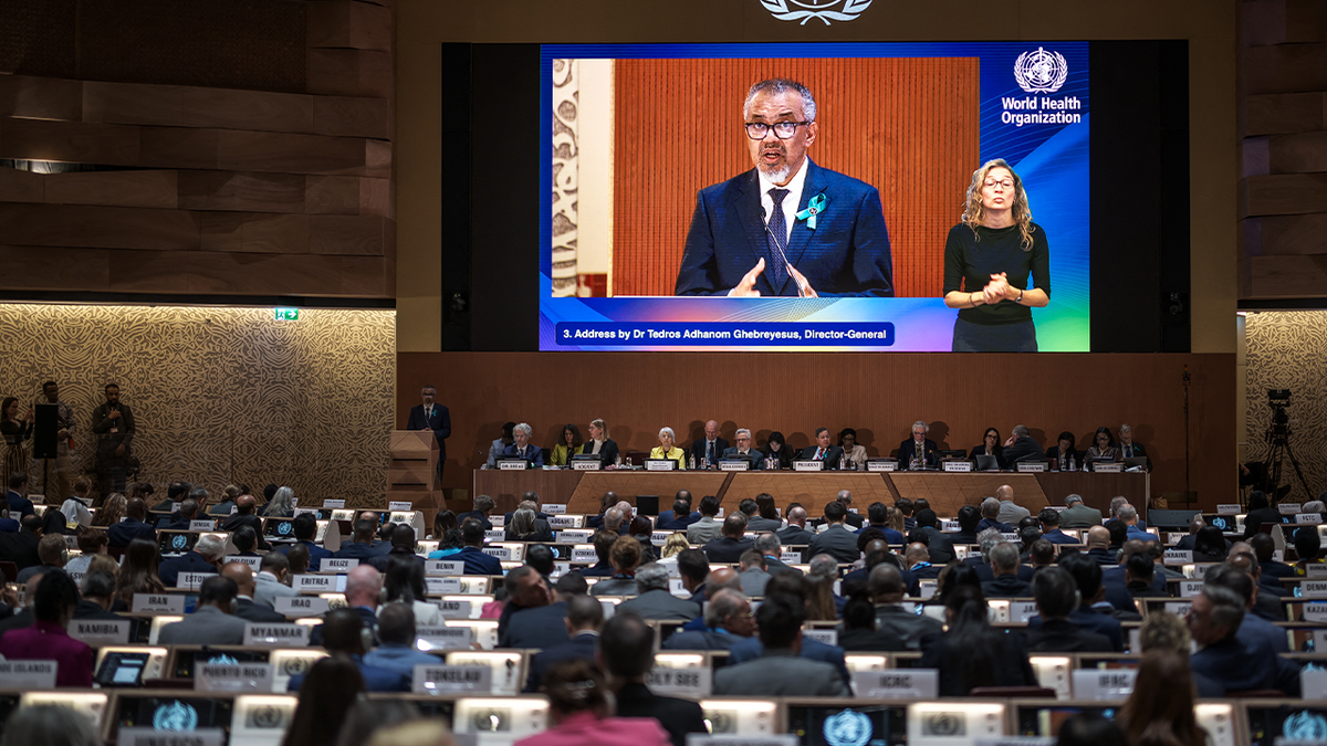 WHO director on big screen at World Health Assembly