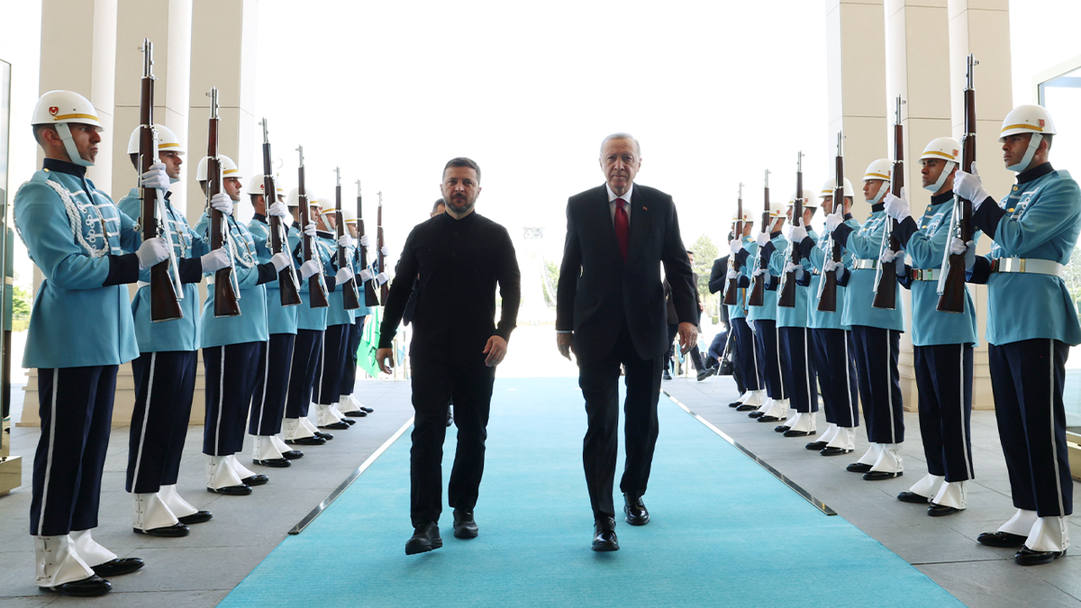 Zelenskyy Erdogan