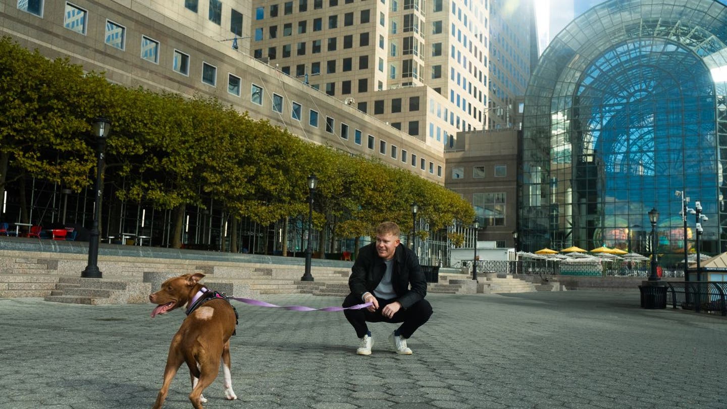 1 ai technology helps reunite lost dogs with their owners