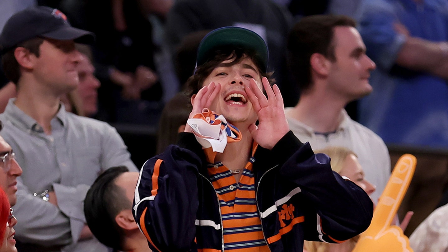 12236118 timothee chalamet
