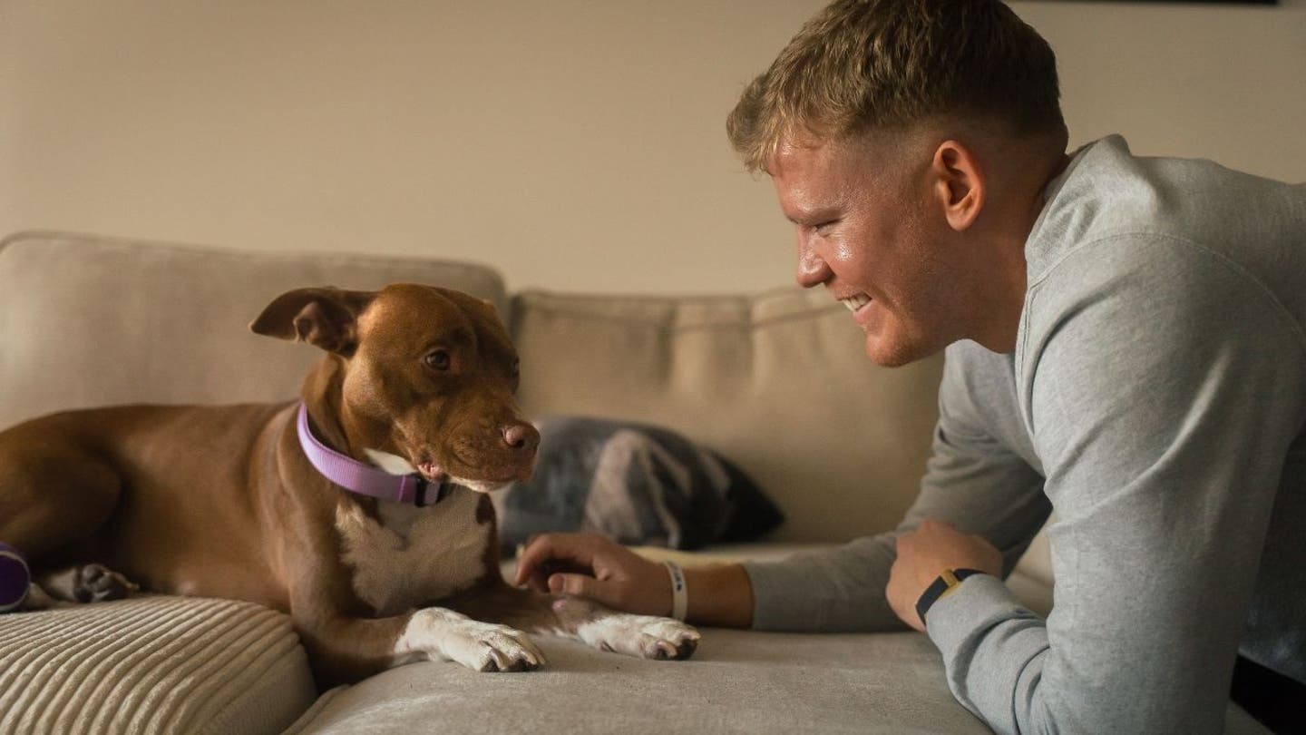 4 ai technology helps reunite lost dogs with their owners
