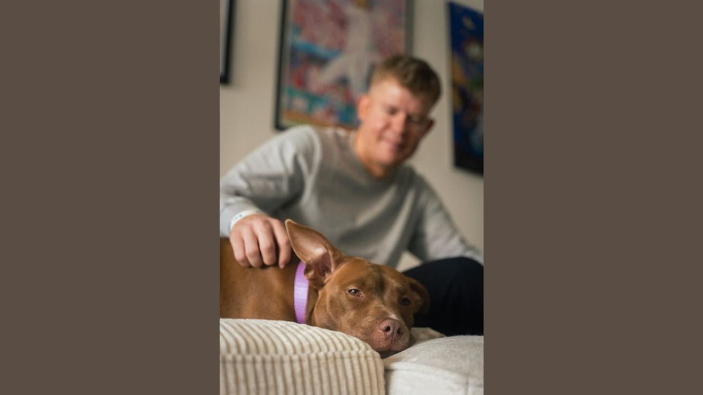 5 ai technology helps reunite lost dogs with their owners