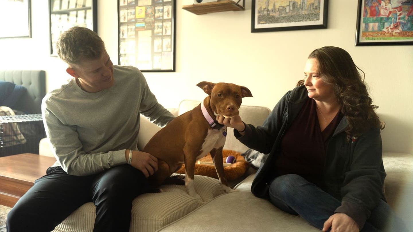 6 ai technology helps reunite lost dogs with their owners