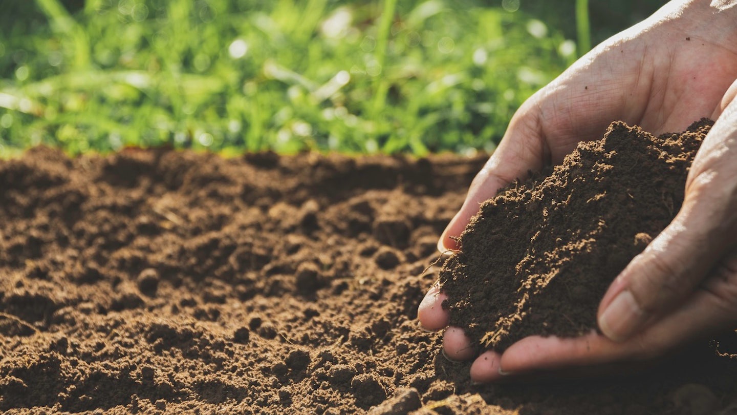 hands in soil