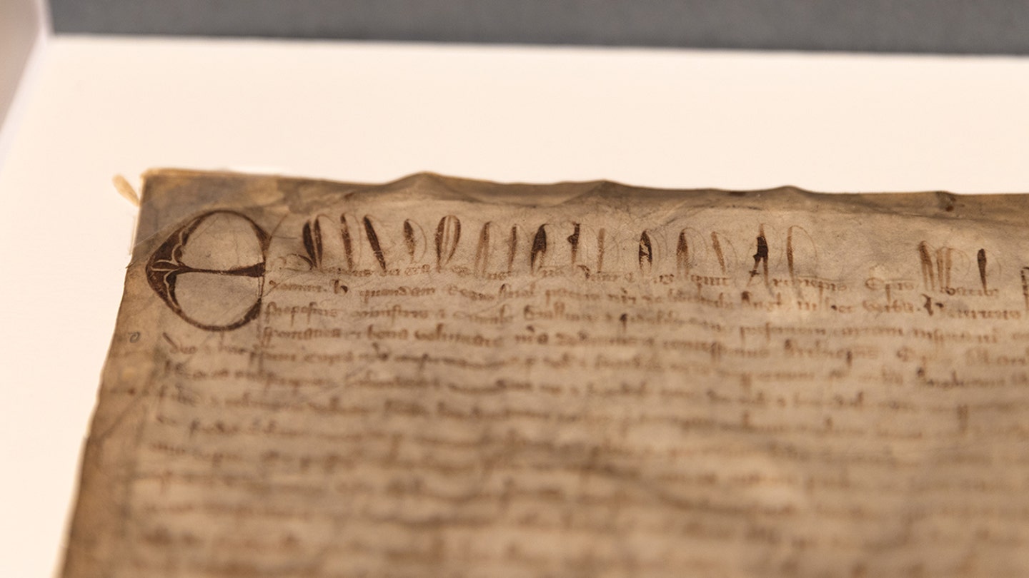 historic magna carta 2
