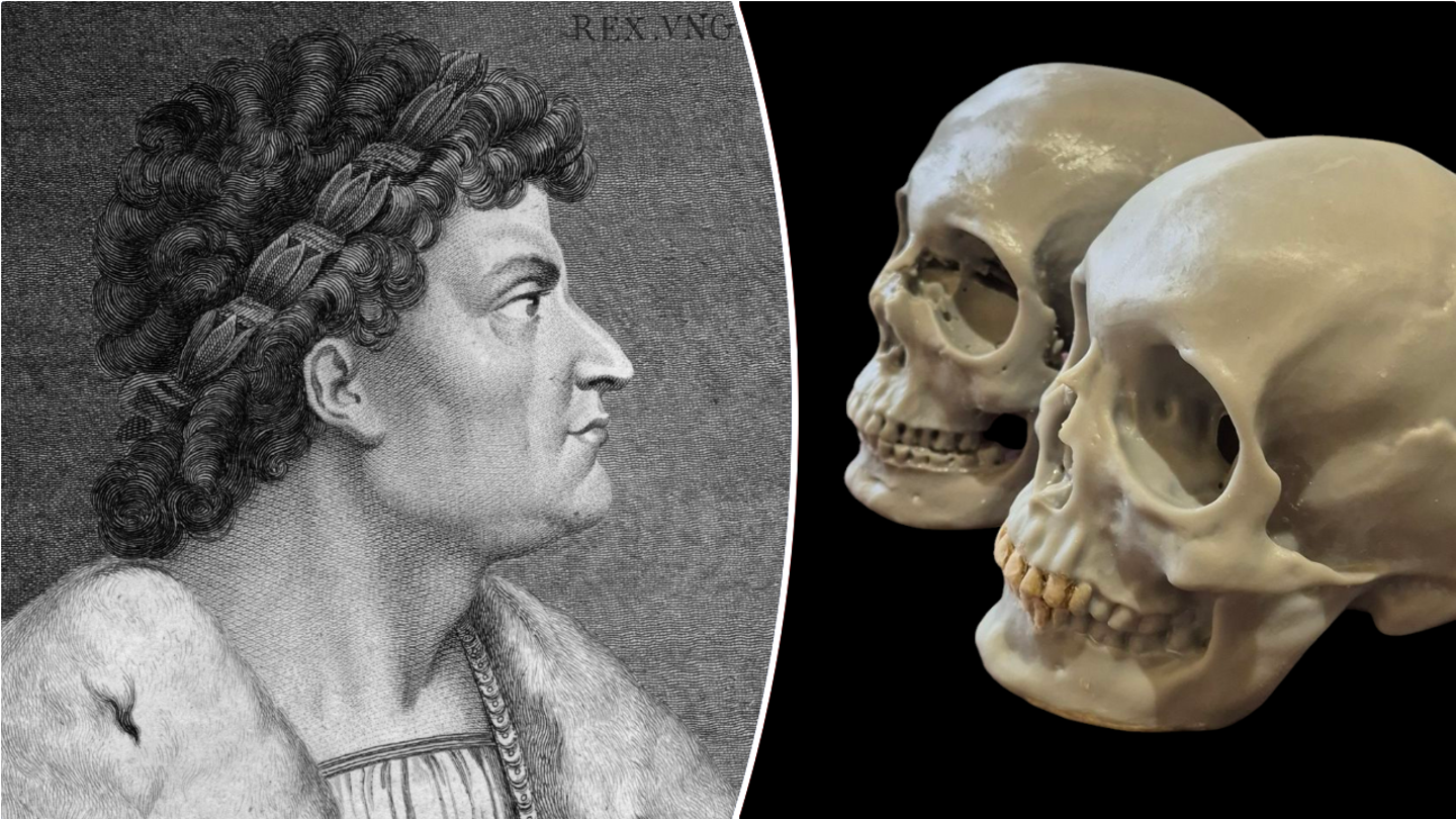 matthias corvinus skull 4