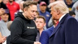 Elon Musk shakes hands with President Donald Trump