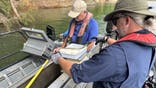 Scientists survey fish populations in East Tennessee