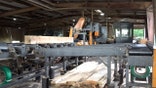 Sawmill operating in Manchester, Tennessee