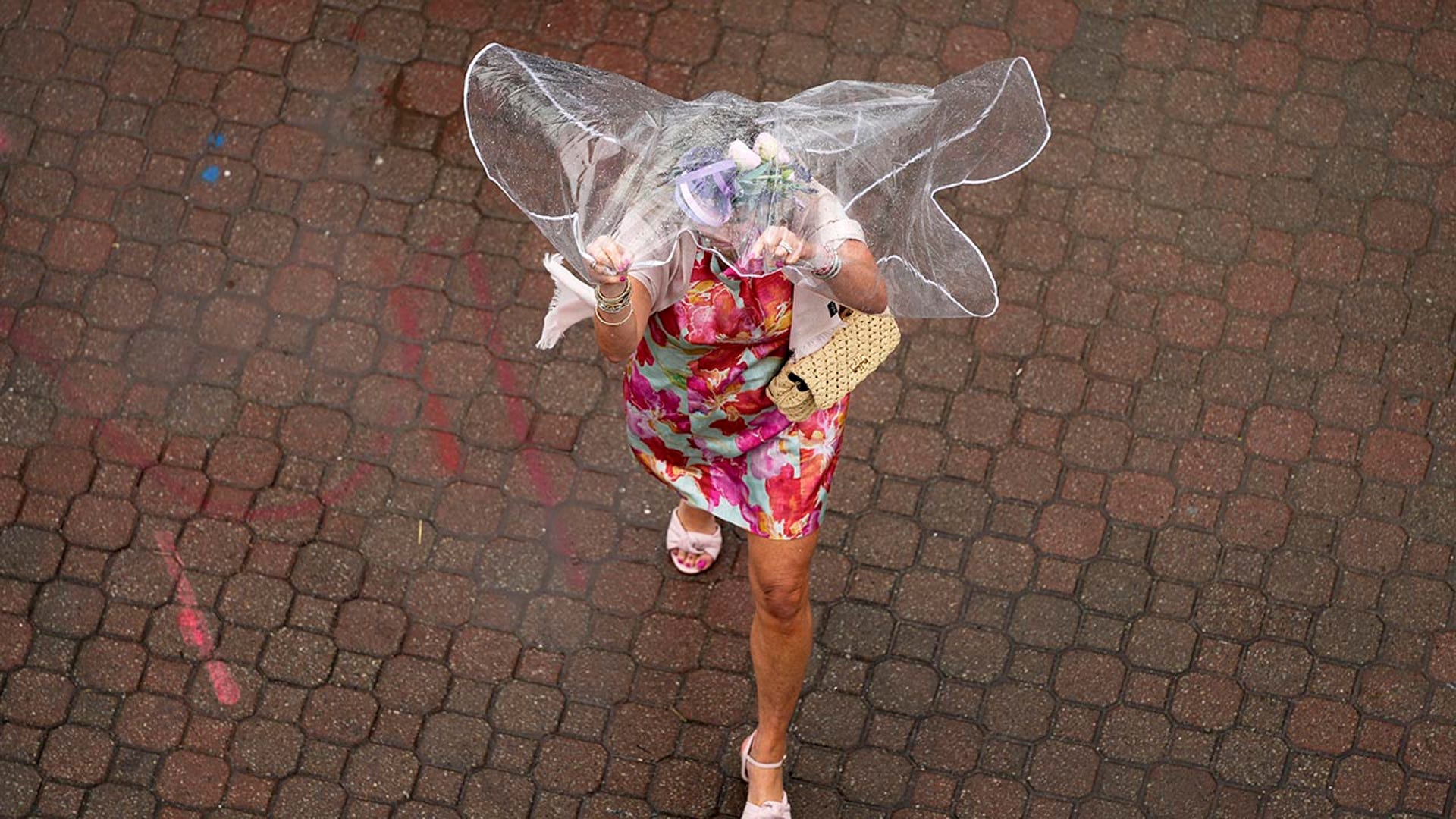 Fan walks