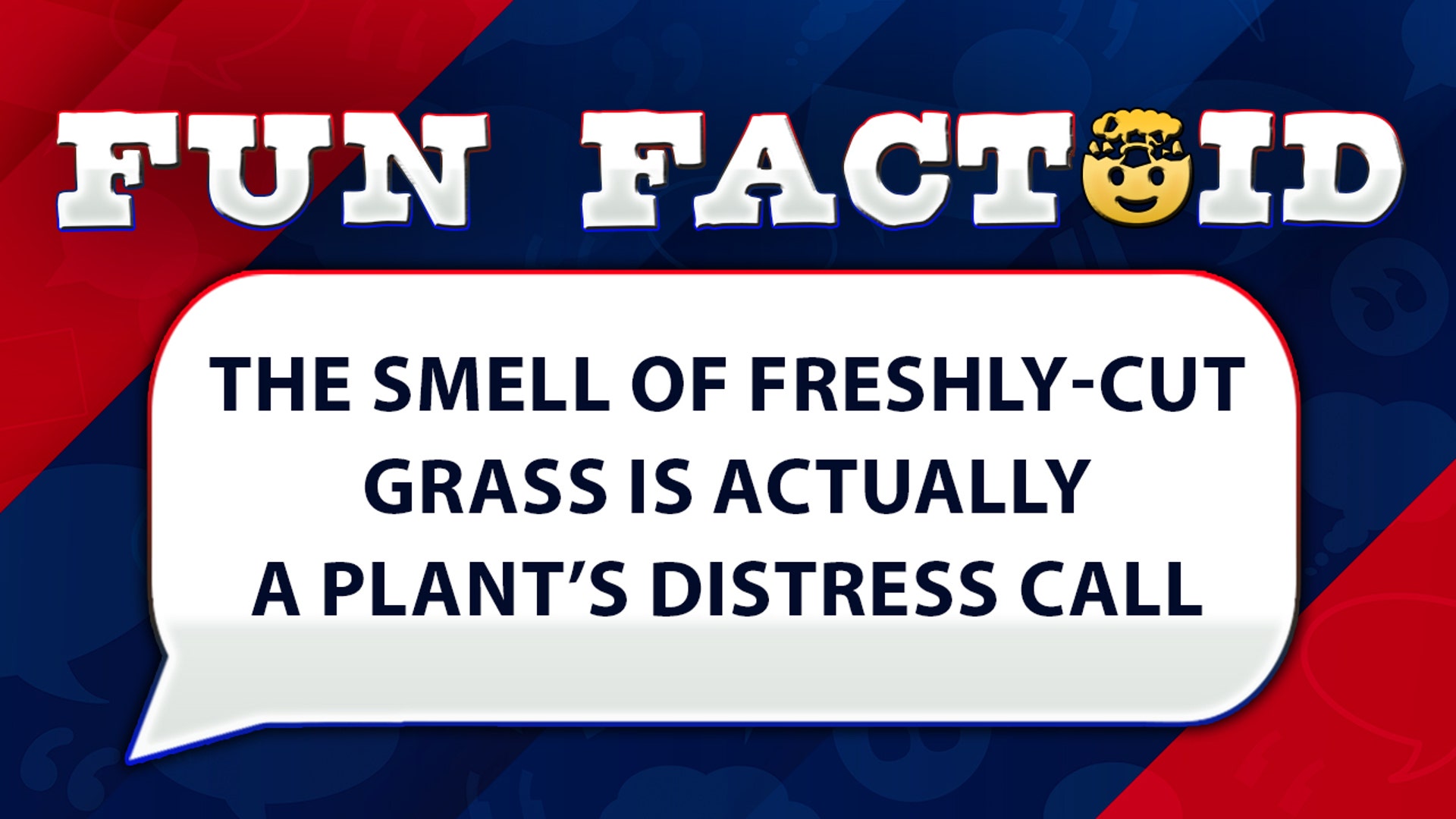 the smell of freshly-cut grass is actually a plant’s distress call