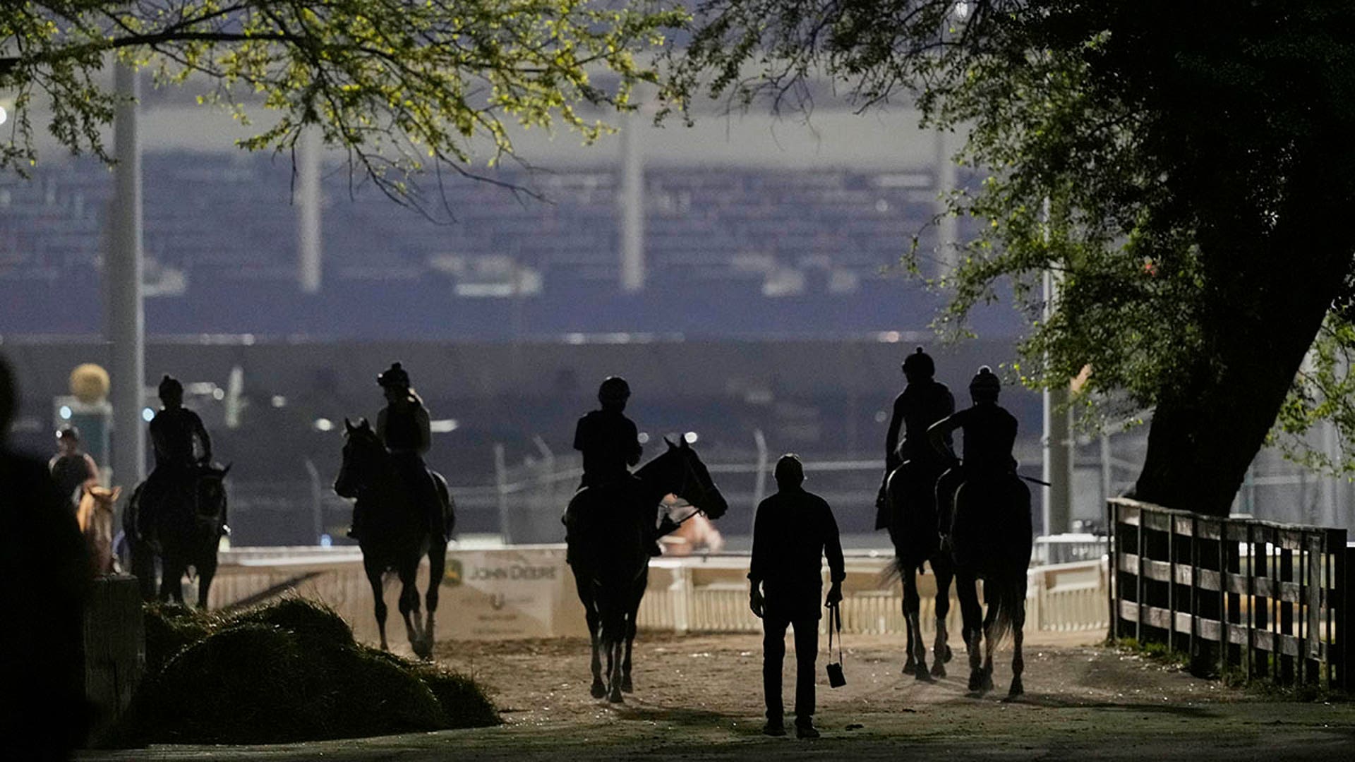 Horses on the track