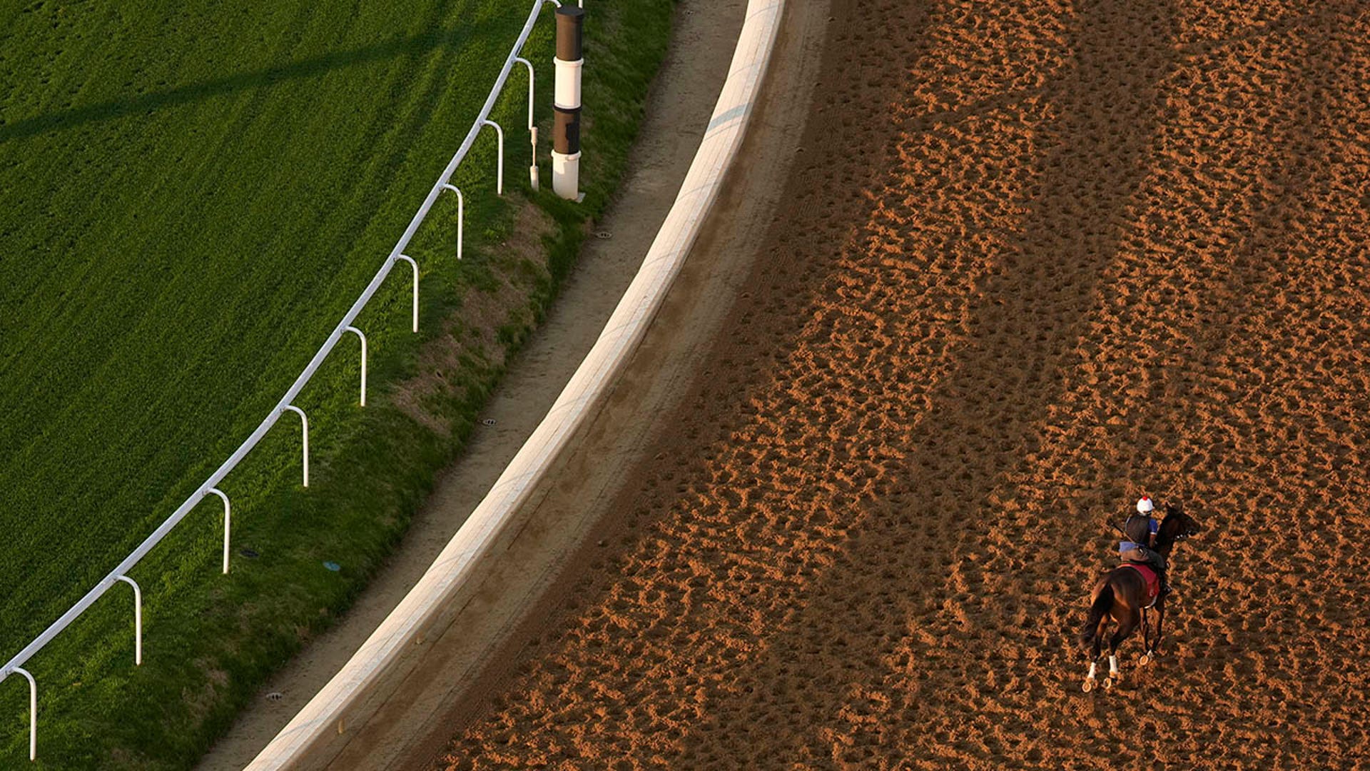 Horse works out