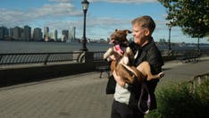 AI technology helps reunite lost dogs with their owners