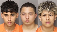 Six illegal migrants charged in South Carolina mother's murder defy 'decency' in 'civilized society': sheriff