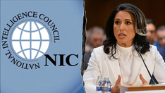 Gabbard fires 'deep state' heads of National Intelligence Council to root out 'politicization of intel'