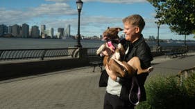 New photo-matching technology reunites lost pets with families - Fox News