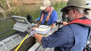 Scientists in East Tennessee examine fish counts for the first time since Hurricane Helene