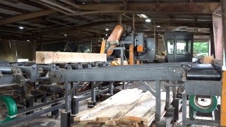 Sawmills act to relieve wildfire threat from Hurricane Helene debris