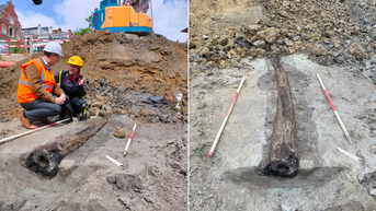 High-tech ancient discovery looks like a log, but was key to a growing city - Fox News