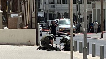 American citizen charged with attempted firebombing of US Embassy in Tel Aviv - Fox News