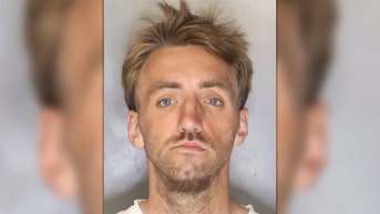California murder suspect was recently released from jail for mental health: sheriff - Fox News
