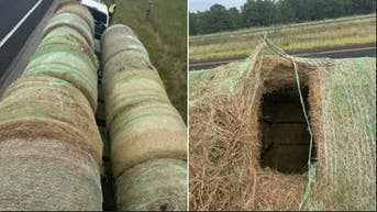 Texas men arrested after migrants found hidden inside hollowed hay bales - Fox News