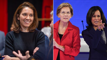 Dem in Trump district race scrubs social media of posts praising progressives: 'Scam artist'