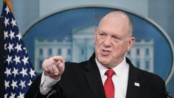 Homan accuses Democrats of defending a 'wife beater' amid new scrutiny over deported migrant's past