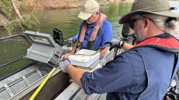 Marine biologists in East Tennessee examine fish counts for the first time since Hurricane Helene