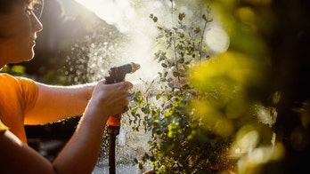 Prepare for summer with Walmart's weekly flash deals: save on ACs, solar lights and sheds