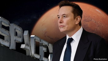 Elon Musk shares vision of Mars as 'life insurance' for humanity: 'Multi-planet civilization'