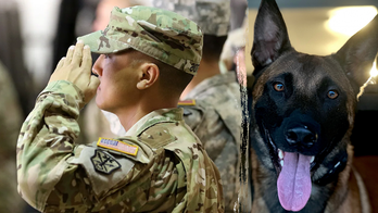 Fallujah vet turns Medal of Heroism into a healing mission for fellow warriors with service dogs program