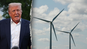 White House rips blue state Dems using 'lawfare' to protect wind industry