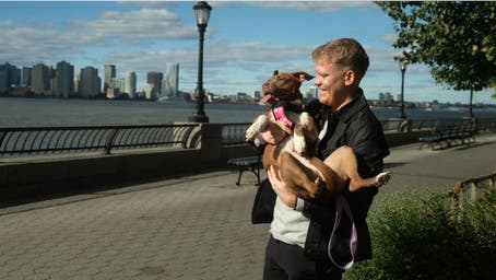 New platform uses  photo-matching technology to reunite lost pets with their families