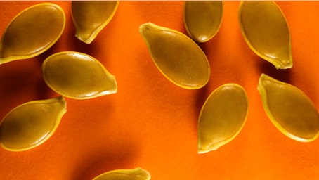 Jumbo pumpkin seeds may be contaminated by salmonella