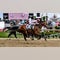 Journalism wins 150th Preakness Stakes after miraculous recovery in thrilling race