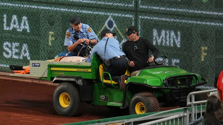 GRAPHIC VIDEO: Baseball fan falls plummets from stands to field at Pirates game