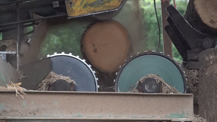 Machine mulching tree at sawmill