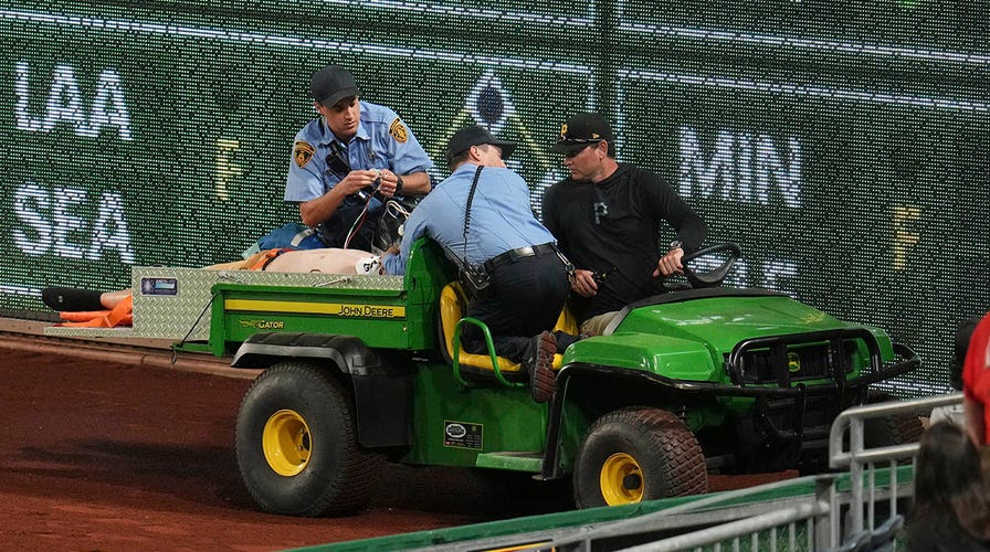 GRAPHIC VIDEO: Baseball fan falls plummets from stands to field at Pirates game