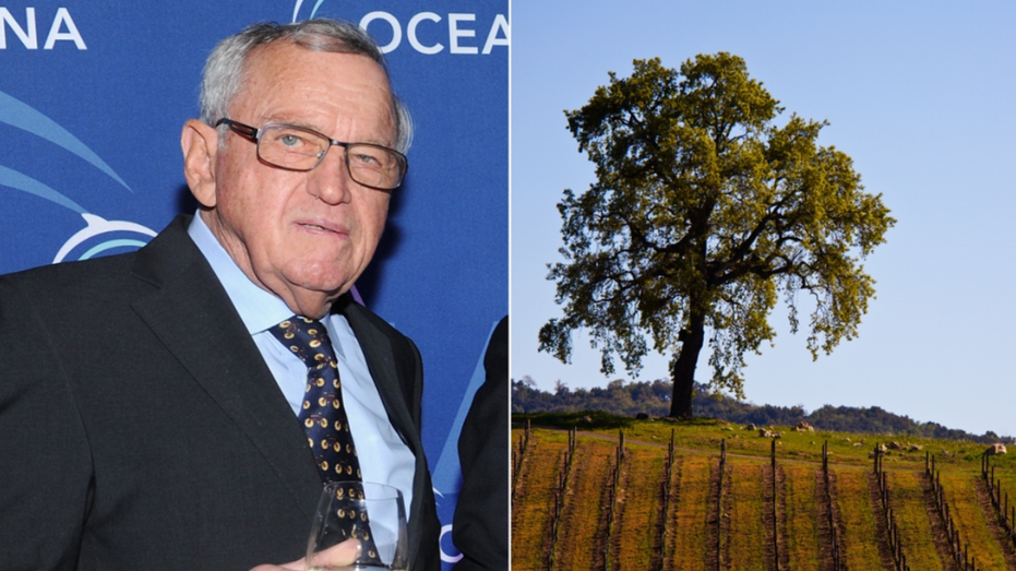 Swiss-born liberal megadonor slapped with lawsuit for allegedly groping, sexually harassing winery employee