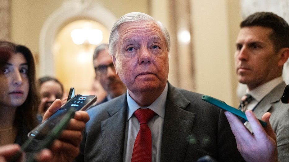 Lindsey Graham draws Democratic Senate challenger who previously lost congressional race