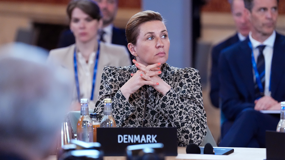 Denmark PM says 