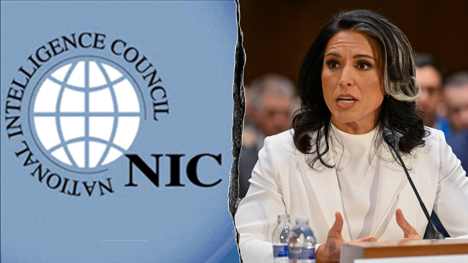 Gabbard fires ‘deep state’ heads of National Intelligence Council to root out ‘politicization of intel’